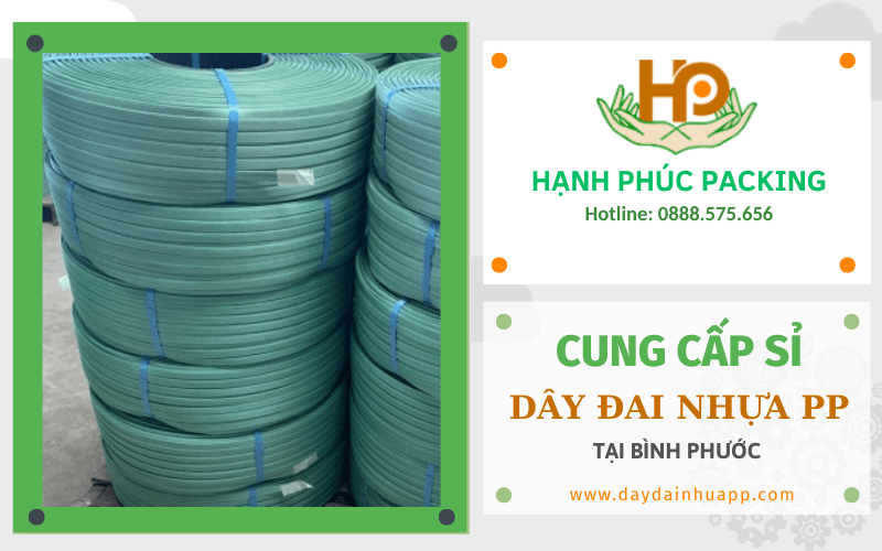 dây đai nhựa PP