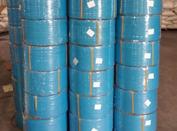 Dây Đai PP Đóng Sầu Riêng