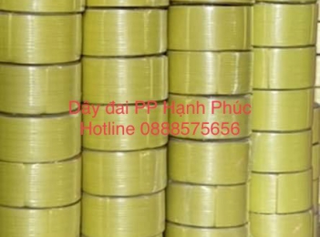 DÂY ĐAI ĐÓNG THÙNG HÀNG TẠI CAI LẬY, CÁI BÈ TIỀN GIANG