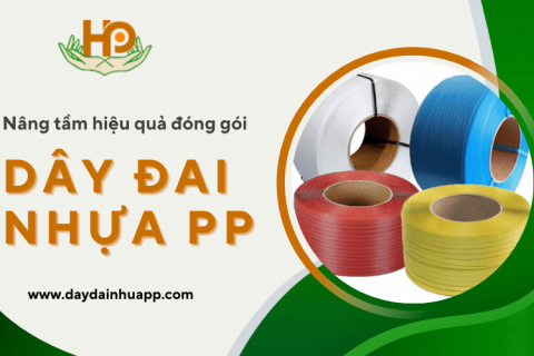 dây đai PP khu vực Daklak