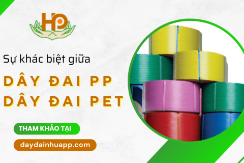 Tìm hiểu sự khác biệt giữa dây đai PP và dây đai PET
