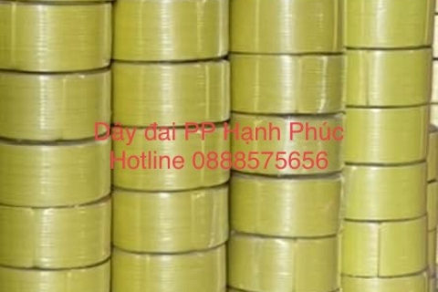 Dây đai PP bản 9mm đóng gạch