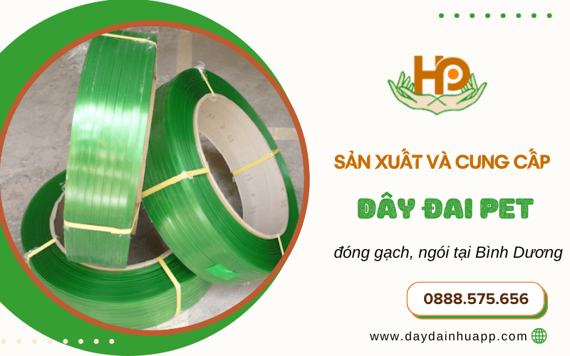  cung cấp dây đai PET 