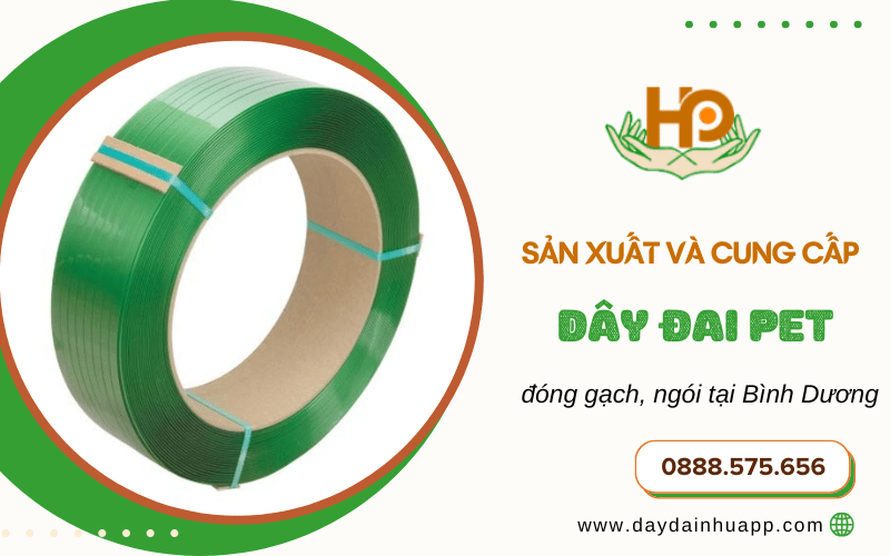  cung cấp dây đai PET 