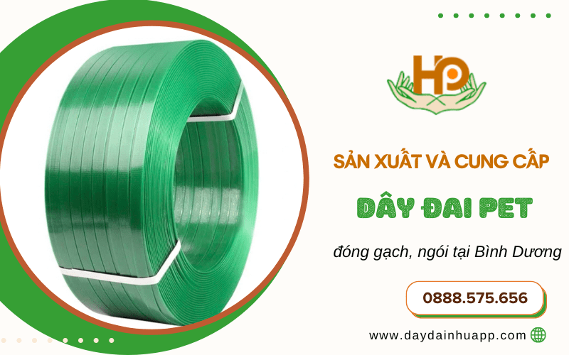 cung cấp dây đai PET 