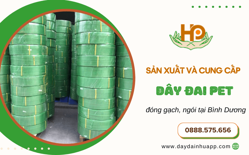  cung cấp dây đai PET 