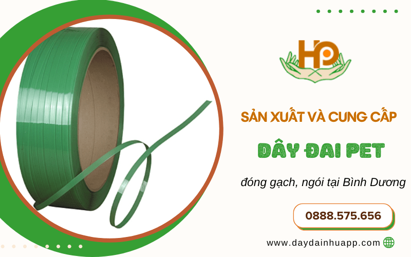  cung cấp dây đai PET 
