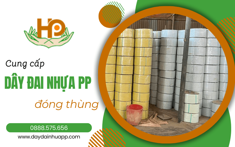 dây đai nhựa pp đóng thùng Bình Dương