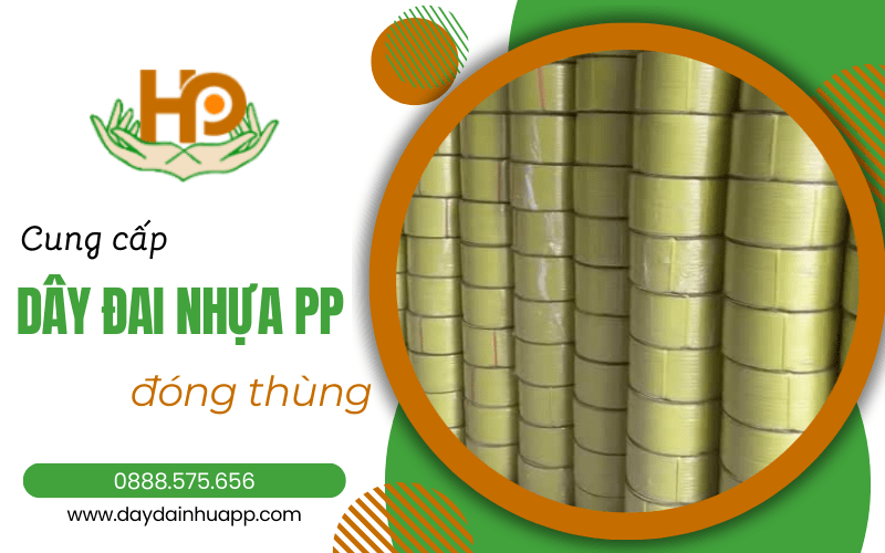 dây đai nhựa pp đóng thùng Bình Dương