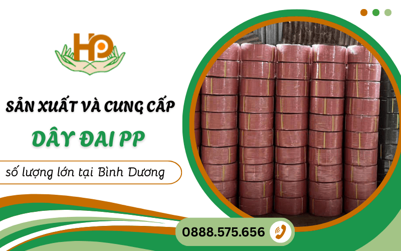 dây đai PP tại Bình Dương