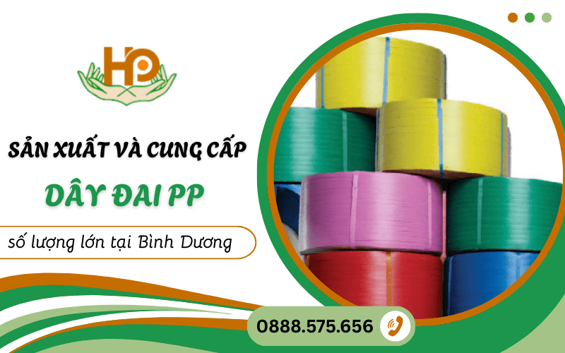 dây đai PP tại Bình Dương