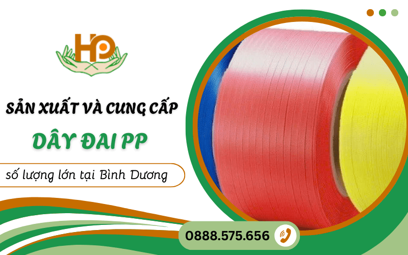 dây đai PP tại Bình Dương