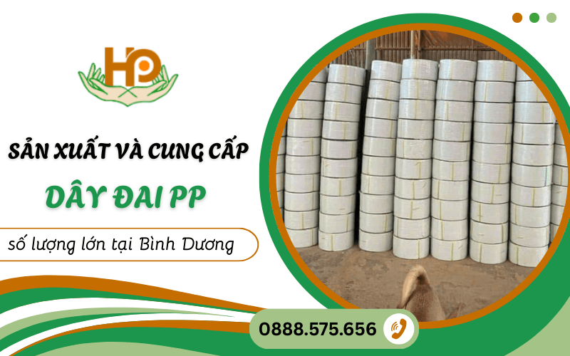 dây đai PP tại Bình Dương