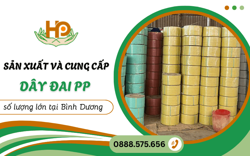 dây đai PP tại Bình Dương